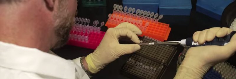 Pros and Cons of the Human Genome Project Pros and Cons of the Human Genome Project